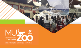 Possibilidades Educativas no Muzoo