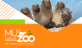 Ecologia animais marinhos
